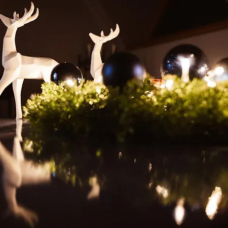 Aspekt * 자코파네